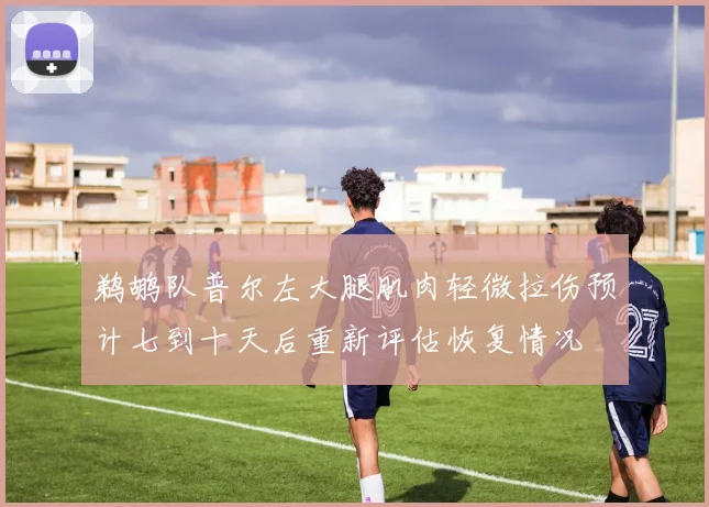 鹈鹕队普尔左大腿肌肉轻微拉伤预计七到十天后重新评估恢复情况