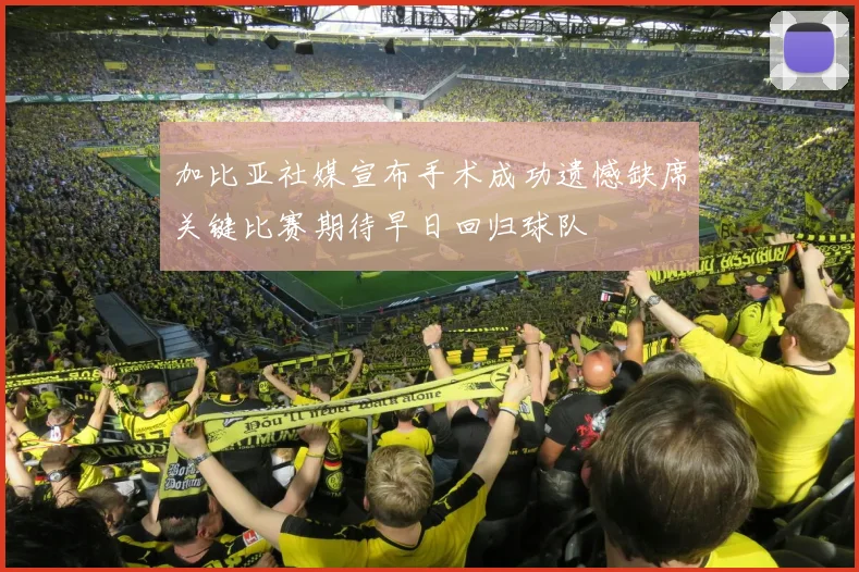 加比亚社媒宣布手术成功遗憾缺席关键比赛期待早日回归球队