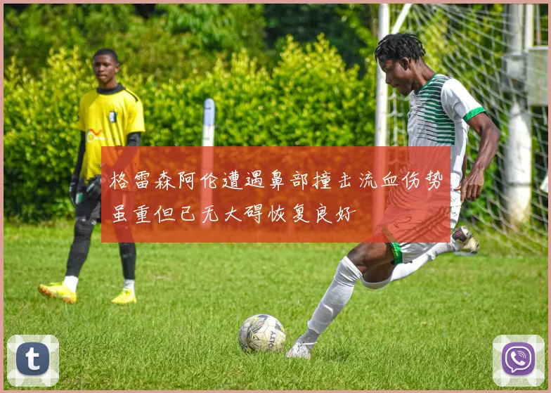 格雷森阿伦遭遇鼻部撞击流血伤势虽重但已无大碍恢复良好